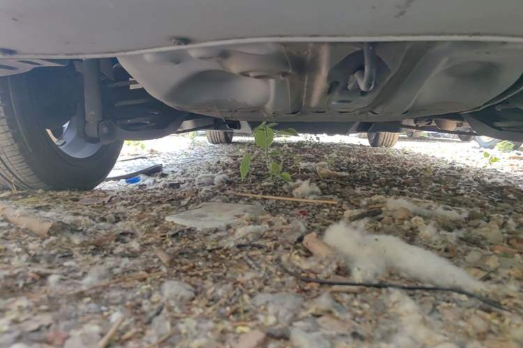 Used Honda Fit 2021 1.5L CVT Trendy Run Pro Edition Chassis Rear Left