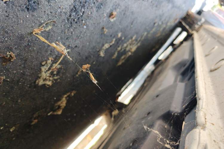 Used Honda Fit 2021 1.5L CVT Trend Edition Chassis Rear Left