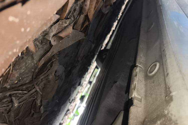 Used Honda Fit 2021 1.5L CVT Trend Edition Chassis Rear Left