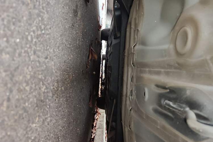 Used Honda Fit 2021 1.5L CVT Trendy Edition Chassis Rear