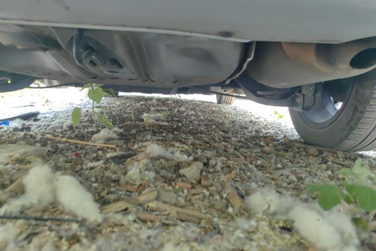 Used Honda Fit 2021 1.5L CVT Trendy Run Pro Edition Chassis Rear Right