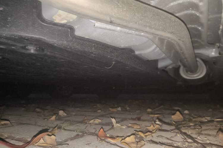 Used Honda Fit 2021 1.5L CVT Trend Edition Chassis Rear Right