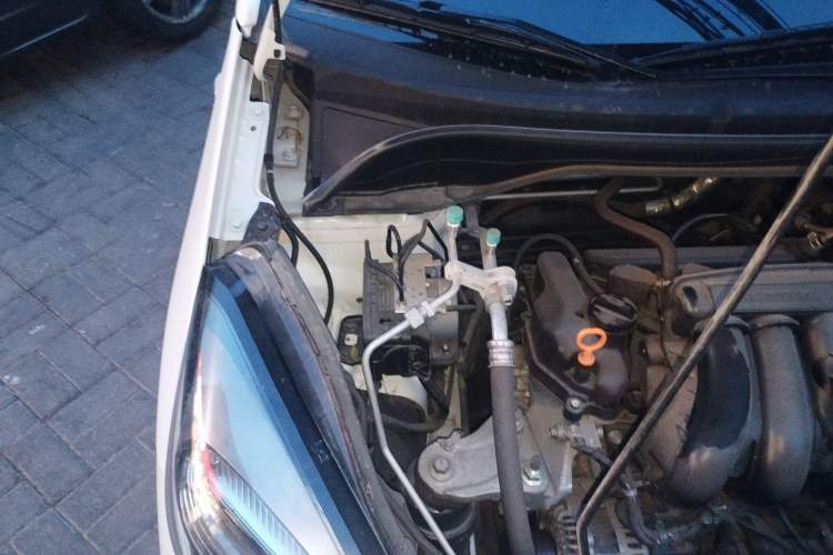 Used Honda Fit 2021 1.5L CVT Trend Edition Engine Bay Right