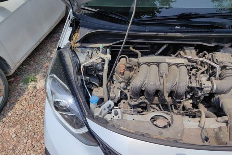 Used Honda Fit 2021 1.5L CVT Trendy Run Pro Edition Engine Bay Right