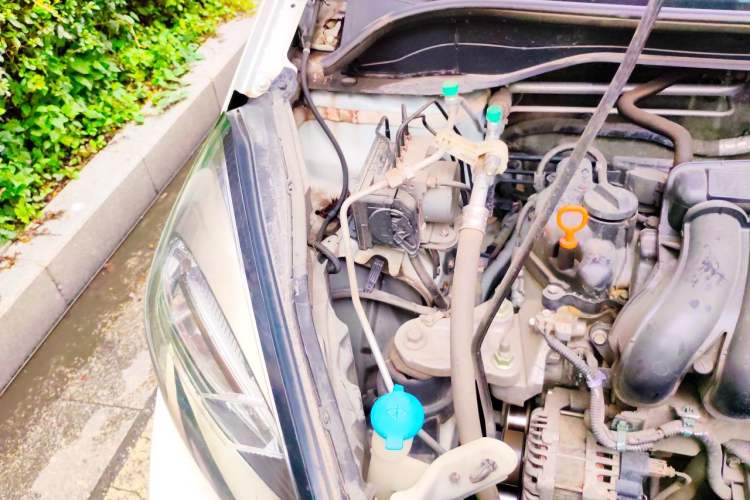 Used Honda Fit 2021 1.5L CVT Trend Edition Engine Bay Right