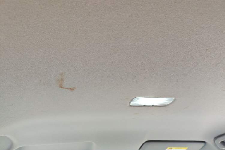 Used Honda Fit 2021 1.5L CVT Trend Edition Headliner