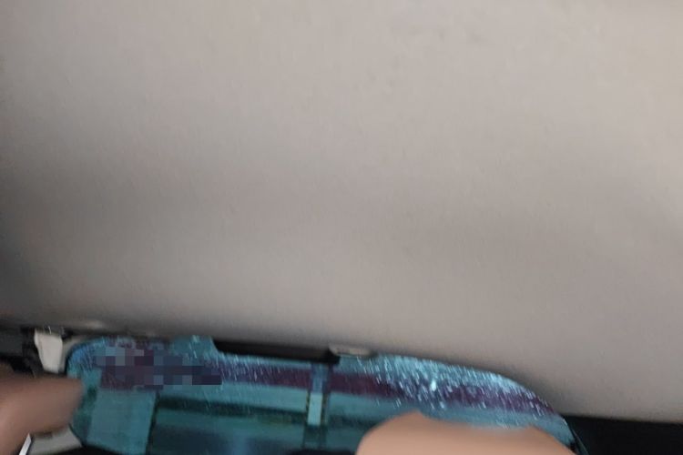 Used Honda Fit 2021 1.5L CVT Trend Edition Headliner