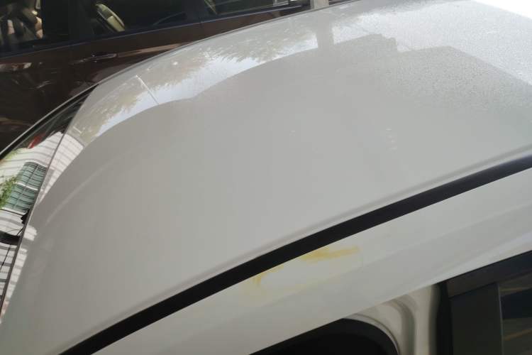 Used Honda Fit 2021 1.5L CVT Trendy Run Pro Edition Roof