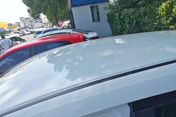 Used Honda Fit 2021 1.5L CVT Trendy Edition Roof