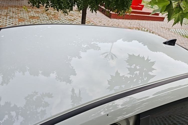 Used Honda Fit 2021 1.5L CVT Trend Edition Roof