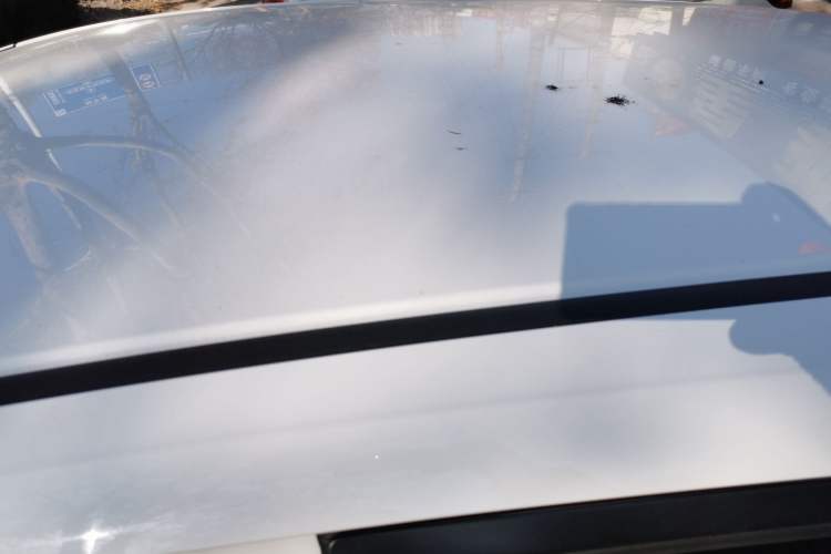 Used Honda Fit 2021 1.5L CVT Trendy Edition Roof