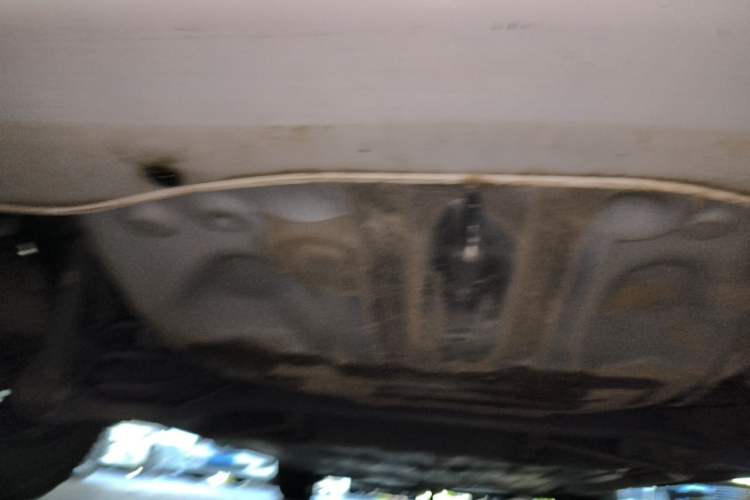 Used Honda Fit 2022 1.5L CVT Trendy Sunroof Edition Chassis Rear