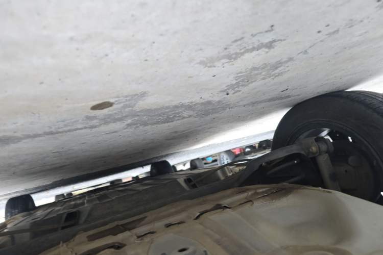Used Honda Fit 2022 1.5L CVT Trendy Sunroof Edition Chassis Rear