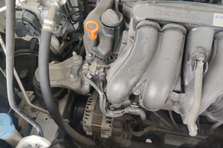 Used Honda Fit 2022 1.5L CVT Trendy Sunroof Edition Engine Bay Right