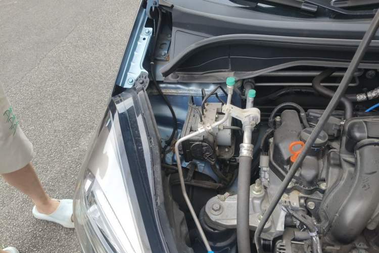 Used Honda Fit 2023 1.5L CVT Trend Edition Engine Bay Right