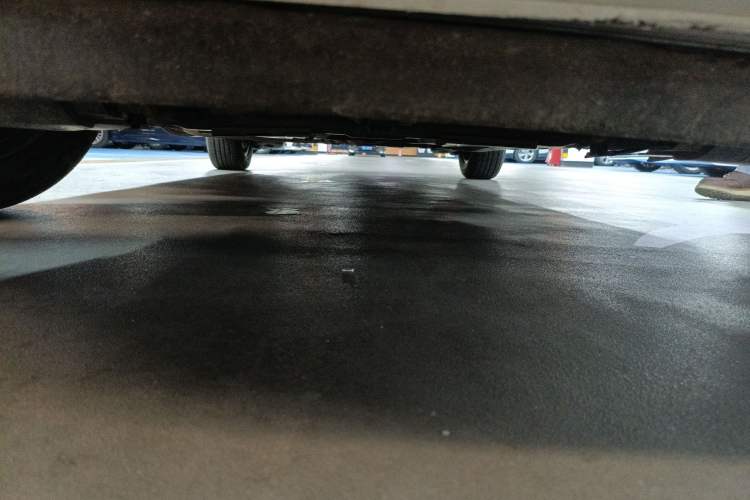 Used Honda Fit 2023 1.5L CVT Trend Edition Chassis Front