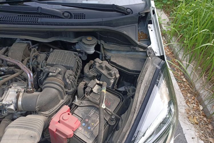 Used Honda Fit 2023 1.5L CVT Trend Edition Engine Bay Left