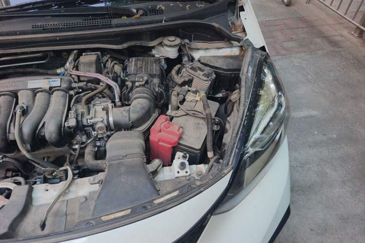 Used Honda Fit 2023 1.5L CVT Trend Edition Engine Bay Left