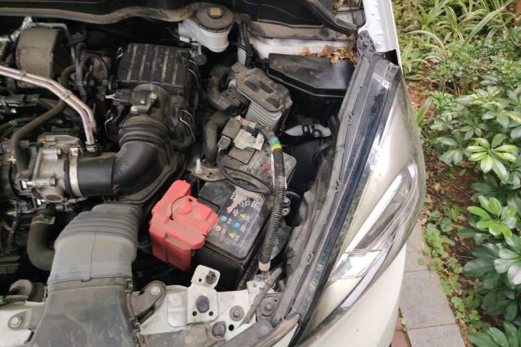 Used Honda Fit 2023 1.5L CVT Trendy Sports Edition Engine Bay Left