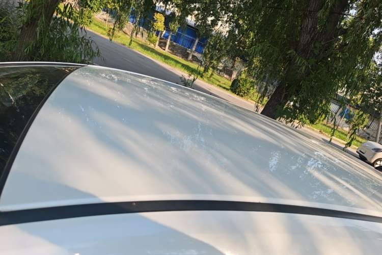 Used Honda Fit 2023 1.5L CVT Trend Edition Roof