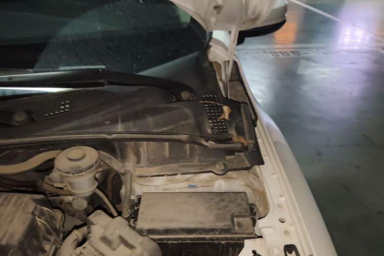 Used Honda Gienia 2017 1.5L Manual Classic Edition Engine Bay Left