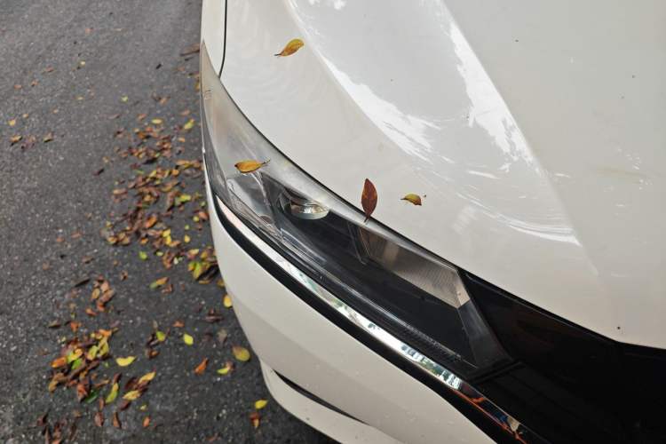 Used Honda Greiz 2016 1.5L CVT Classic Edition Right Front Headlight