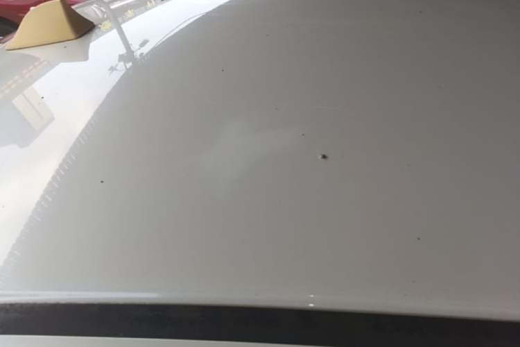 Used Honda Greiz 2016 1.5L CVT Classic Edition Roof