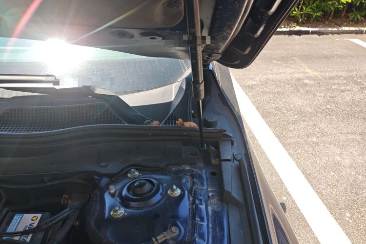 Used Honda Inspire 2019 260TURBO Jingyue Edition China VI Engine Bay Left