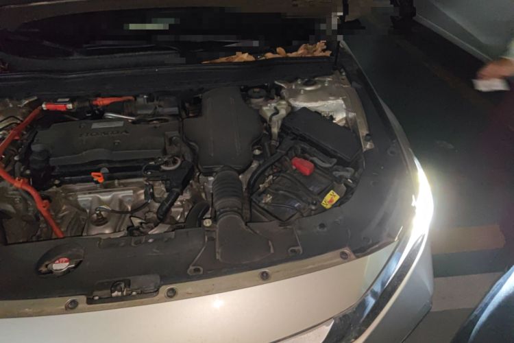 Used Honda Inspire 2019 Rui·Hybrid 2.0L Jingya Edition China VI Engine Bay Left