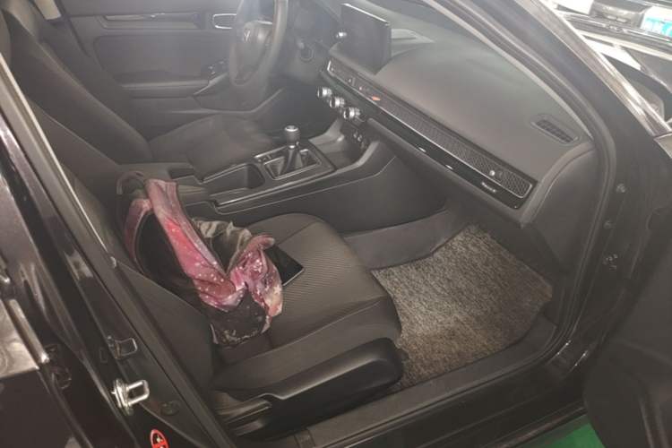 Used Honda Integra 2022 240TURBO Manual Exclusive Edition Right Front Seat