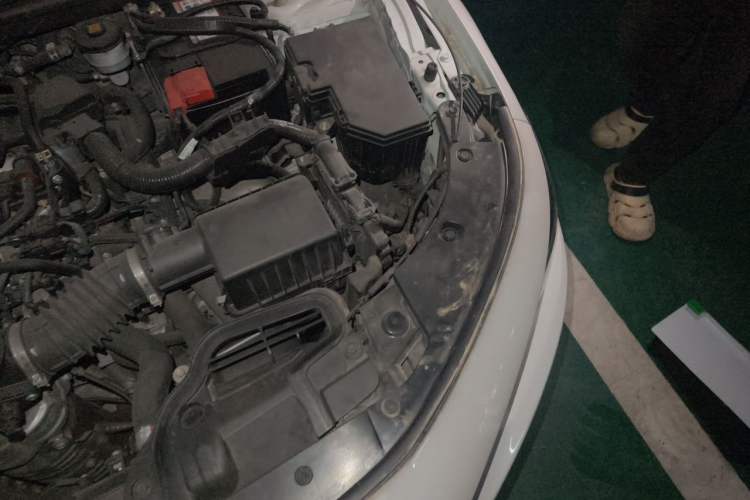 Used Honda Integra 2022 240TURBO CVT Technology Edition Engine Bay Left