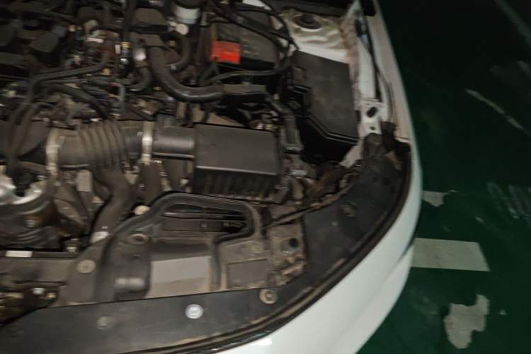 Used Honda Integra 2022 240TURBO CVT Luxury Edition Engine Bay Left