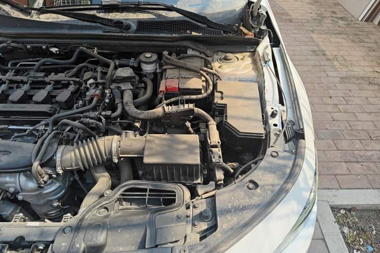 Used Honda Integra 2022 240TURBO CVT Luxury Edition Engine Bay Left