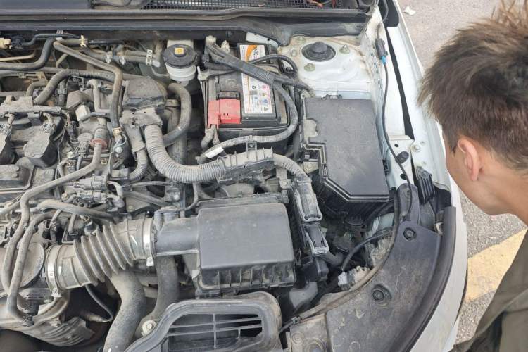 Used Honda Integra 2022 240TURBO CVT Technology Edition Engine Bay Left