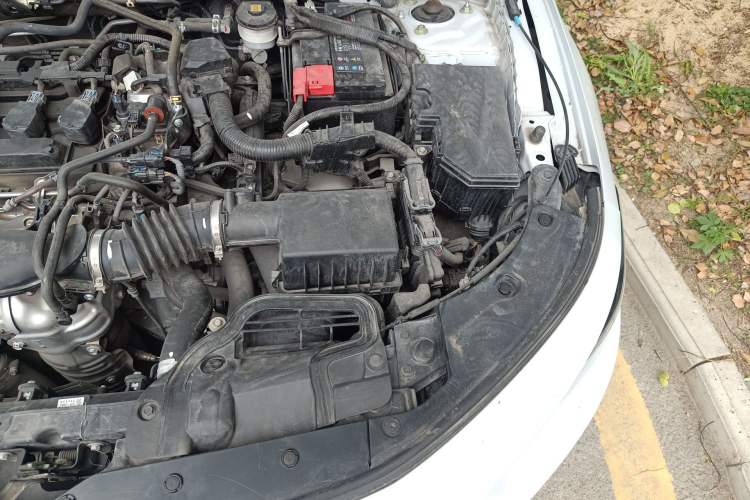 Used Honda Integra 2022 240TURBO CVT Prestige Edition Engine Bay Left