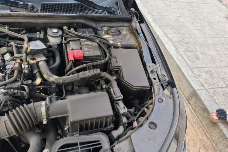 Used Honda Integra 2023 240TURBO CVT Leading Edition Engine Bay Left