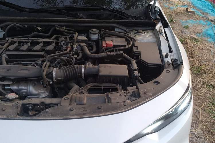 Used Honda Integra 2023 240TURBO CVT Tech Edition Engine Bay Left