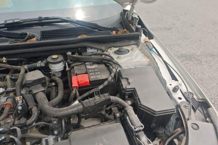Used Honda Integra 2023 240TURBO CVT Tech Edition Engine Bay Left