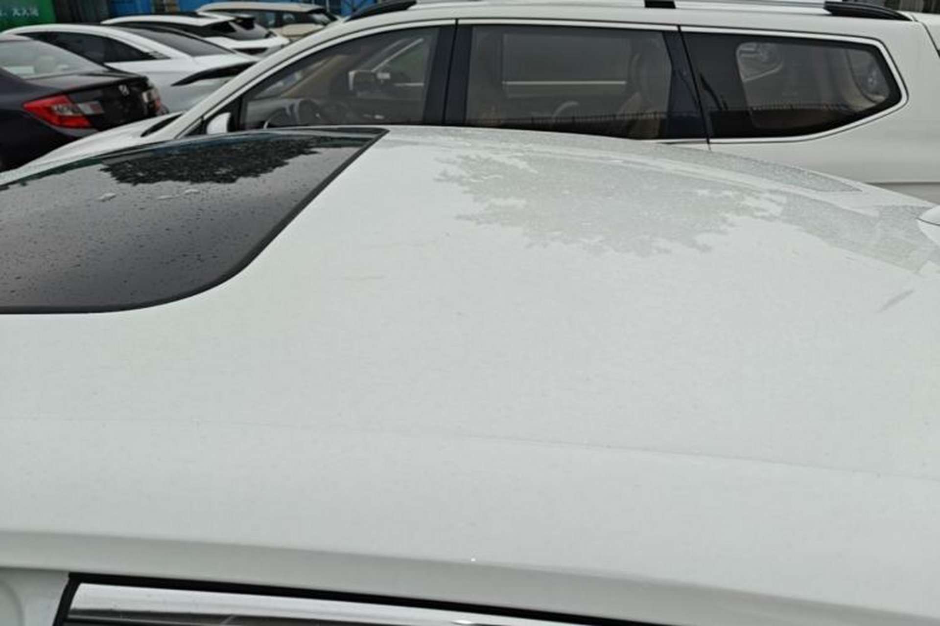 Used Honda Integra 2023 240TURBO CVT Tech Edition Roof