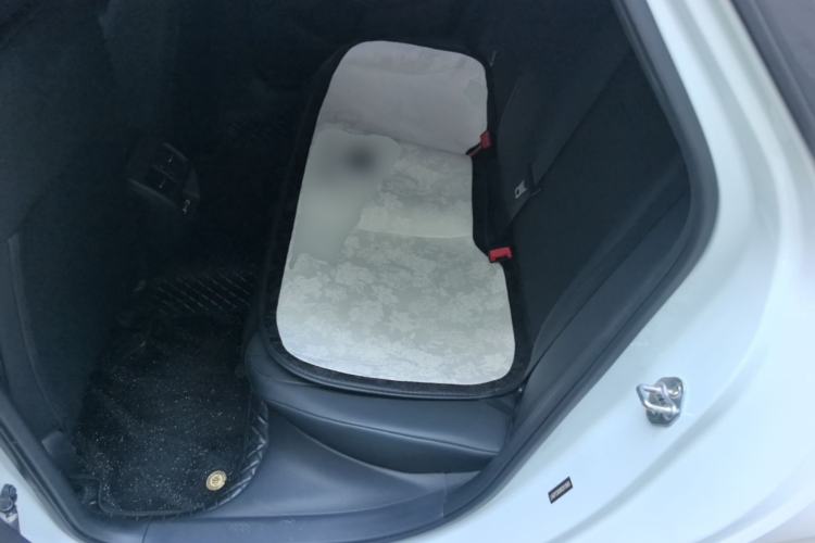 Used Honda Integra 2024 240TURBO CVT Acura MUGEN Edition Left Rear Seat