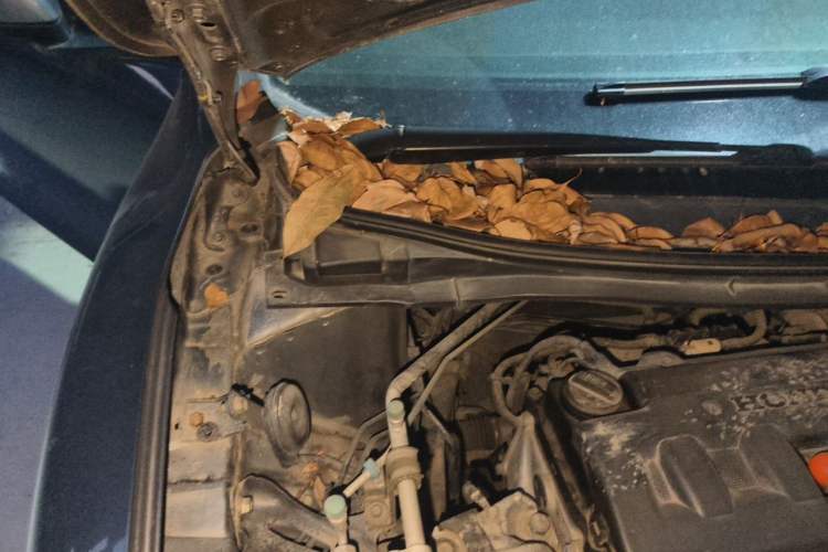 Used Honda Jade 2013 1.8L automatic Comfort version 5 seats Engine Bay Right