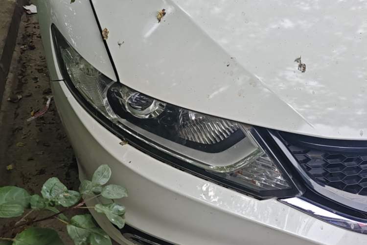 Used Honda Jade 2014 1.8L Automatic Comfort Elite Version 5 Seats Right Front Headlight