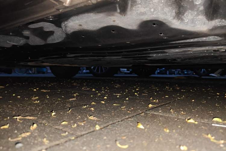 Used Honda LIFE 2021 1.5L CVT SPO-SS Dynamic Edition Chassis Rear Left