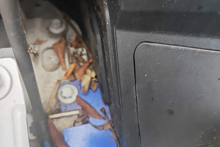 Used Honda LIFE 2021 1.5L CVT CRO-SS Fun Edition Engine Bay Right
