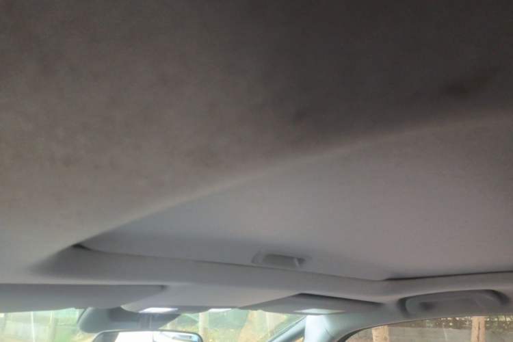 Used Honda LIFE 2021 1.5L CVT CRO-SS Fun Edition Headliner