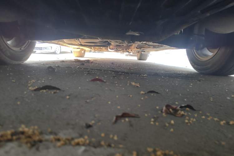 Used Honda Odyssey 2007 2.4L Comfort Edition Chassis Rear