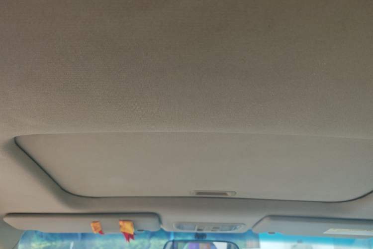Used Honda Odyssey 2009 2.4L Luxury Edition Headliner