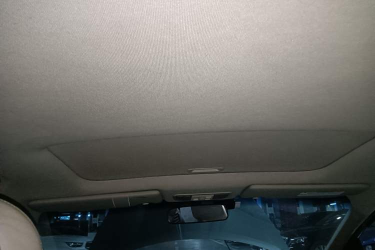 Used Honda Odyssey 2009 2.4L Luxury Edition Headliner