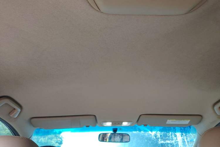 Used Honda Odyssey 2009 2.4L Comfort Edition Headliner