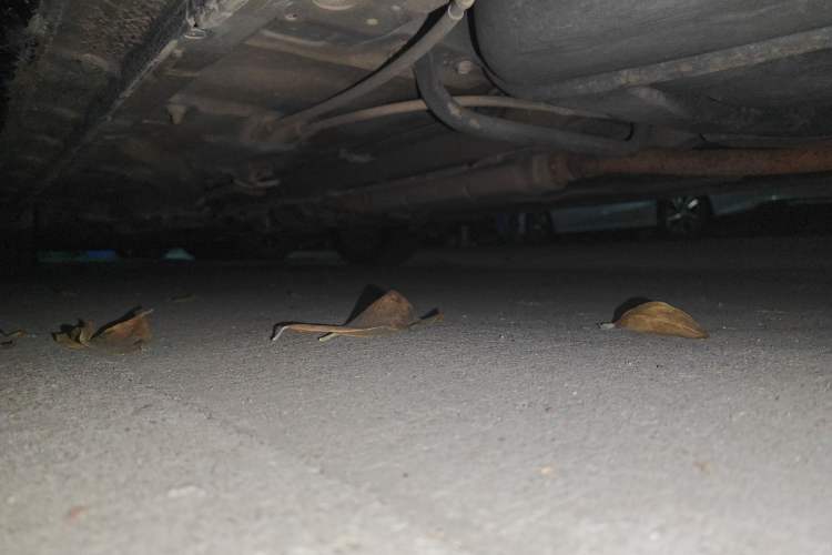 Used Honda Odyssey 2009 2.4L Luxury Edition Chassis Rear Left